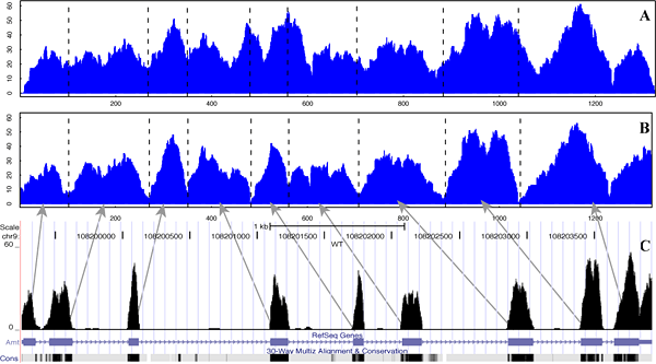 exampleplot3gif.gif