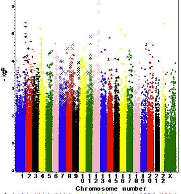 A Manhattan plot for chronic kidney disease (CKD) from the Framingham Heart Study