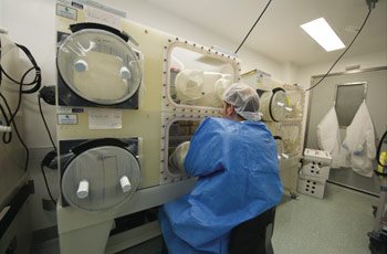 A gnotobiotic (germ-free) mouse facility allows researchers to study how individual strains of bacteria influence the immune system