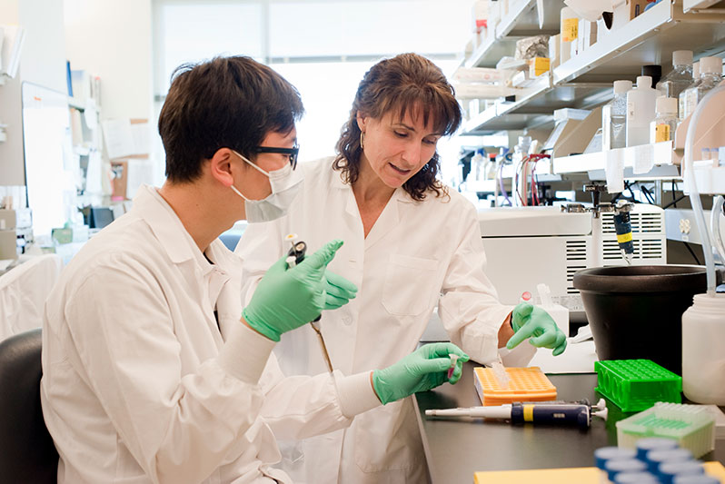 Ji-Heon Noh, Ph.D. (left), and Myriam Gorospe, Ph.D., discuss the selection of mitochondrial RNA samples in an experiment to study energy generation by senescent cells