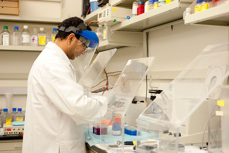 Kotb Abdelmohsen, Ph.D., prepares radioactive DNA probes to investigate the abundance of long noncoding RNAs in senescent cells using Northern blot analysis