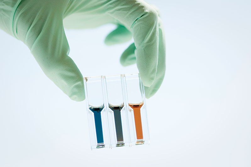 Protein concentration, as measured using the Bradford assay