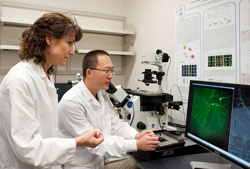 Dr. Gorospe and Je-Hyun Yoon, Ph.D., examine neurons using fluorescence microscopy; here, RNA-binding proteins are investigated in order to understand the molecular basis of Alzheimer’s disease