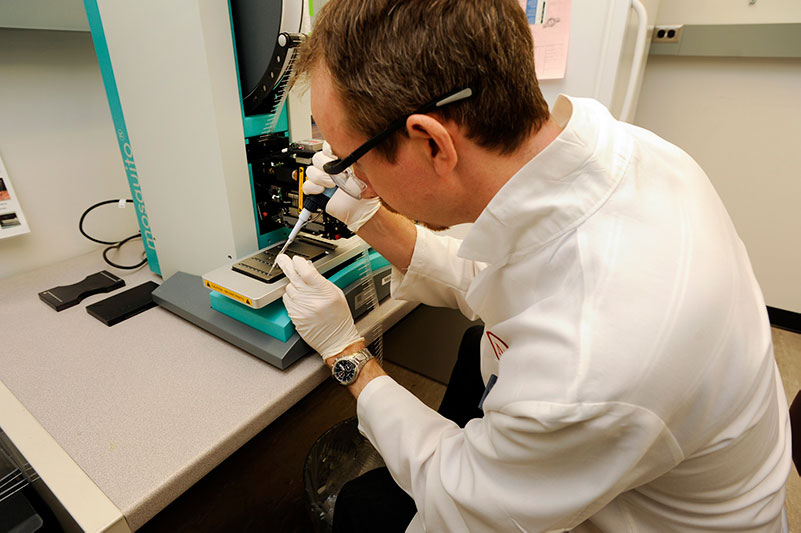 Clausen prepares protein samples for high-throughput crystallization trials to be set up by a “mosquito” robot.