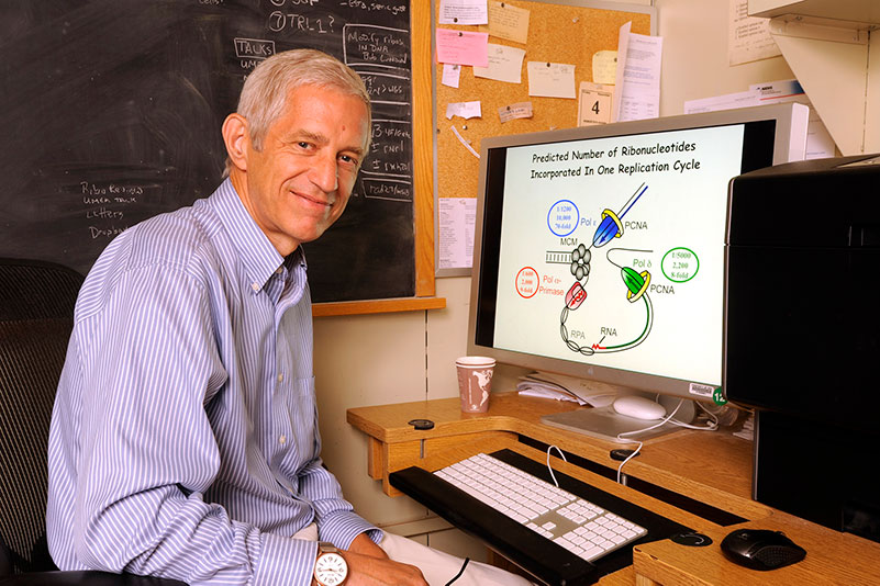 In his office, Dr. Kunkel plans new approaches to understanding the repercussions of DNA replication infidelity.