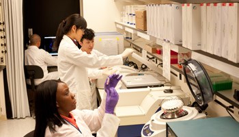 Usdin’s lab