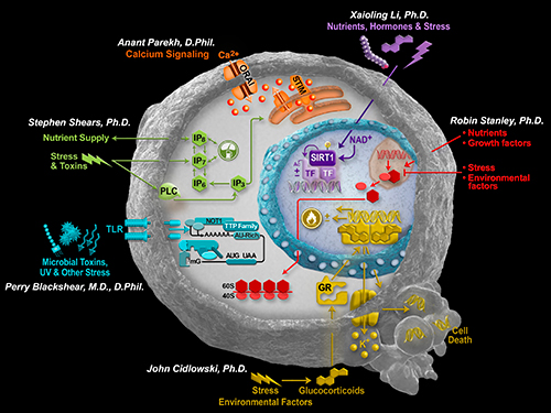 laboratory_of_signal_transduction.jpg