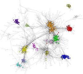 liver_point7_network.jpg