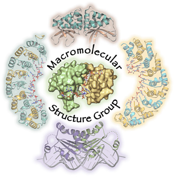 macromolecular_structure_group_2012_image.jpg