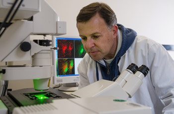 Jose Martina, a staff scientist in Dr. Puertollano’s lab, looks at fluorescently labeled lysosomes to determine the mTOR-dependent regulation of TFEB