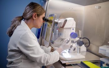Biologist Lindsey May infects supporting cells with an adenovirus to examine how the cells respond to stress.