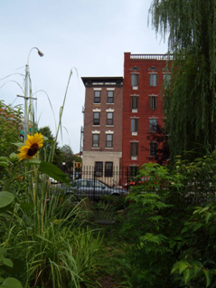 mcbride1.jpg
