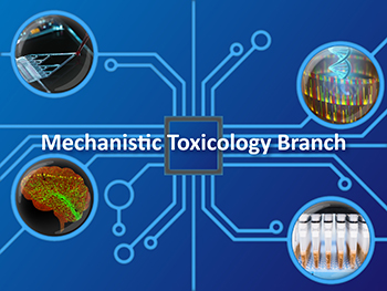mechanistic_toxicology_branch.jpg
