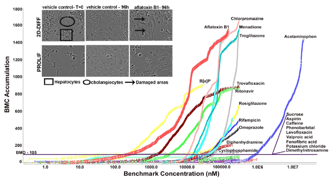 mol-tox-bmc-accumulation.jpg