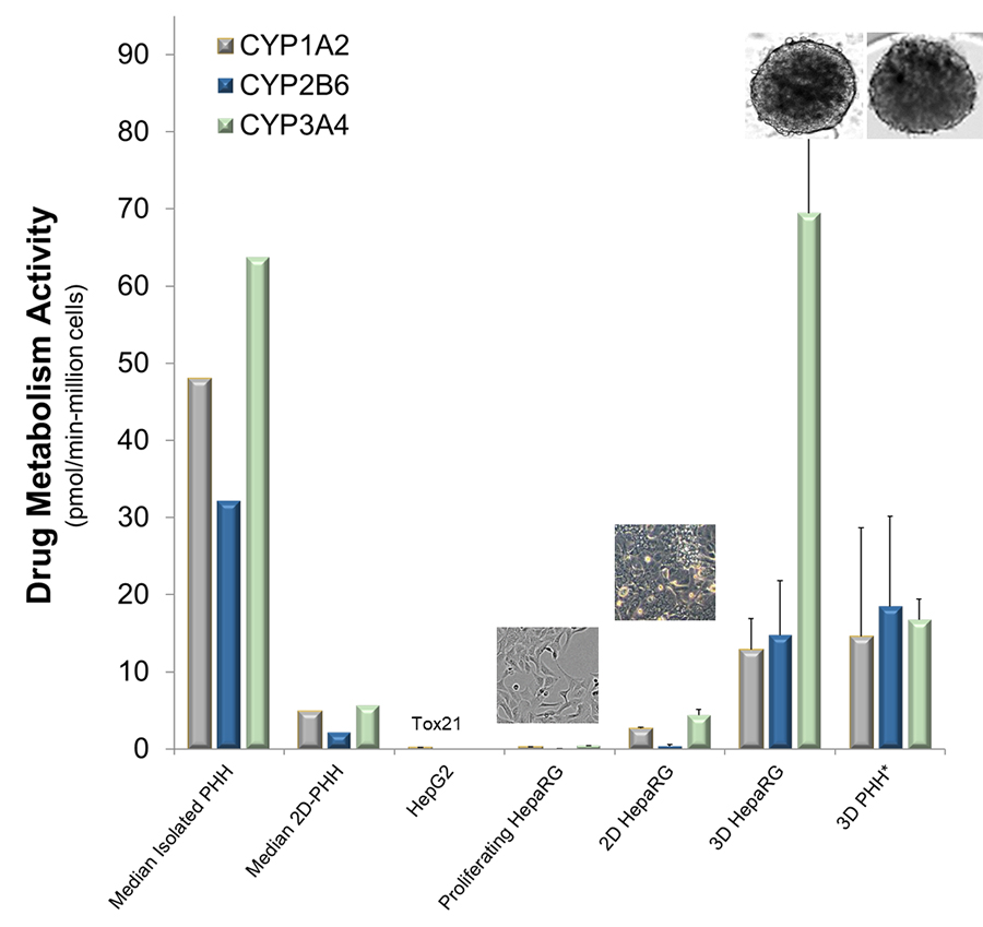 mol-tox-drug-meta-activity.jpg