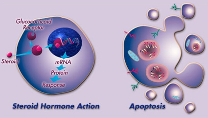 molecular2jpg.jpg
