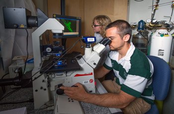 Postdoctoral fellow Michael Molloy (front) trains high school student Josie Striepen in microscopy technique