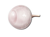 embedding_mouse_eye_01.jpg