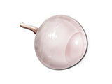 embedding_mouse_eye_02.jpg