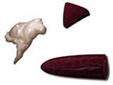 embedding_mouse_spleen_thymus.jpg