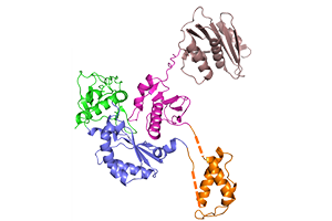 nmrhivreversetranscriptase.png
