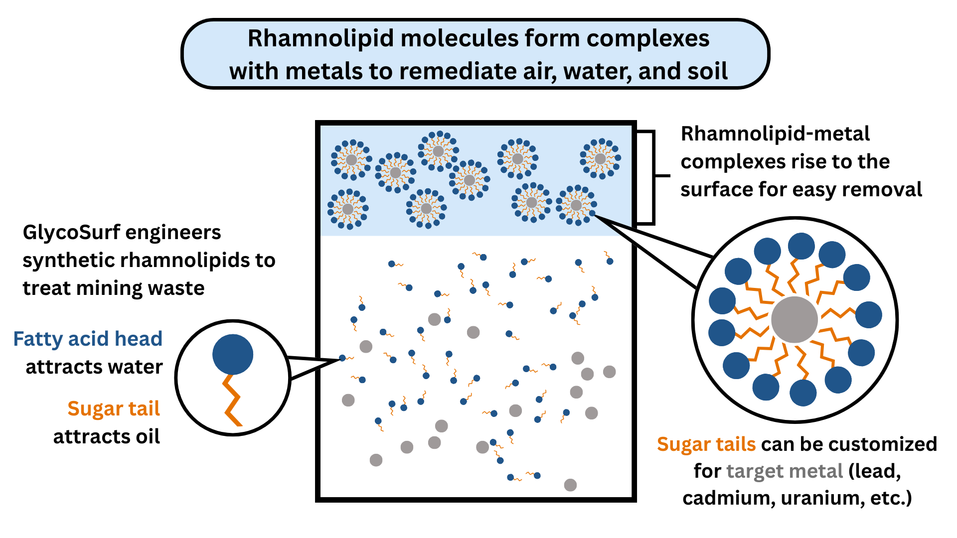 glycosurf_graphic.jpg