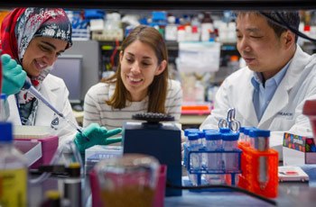 Postdoctoral fellows Heba Diab (left) and Lu Sun (right) prepare cells for analysis and discuss their research project with team leader Rosa Puertollano