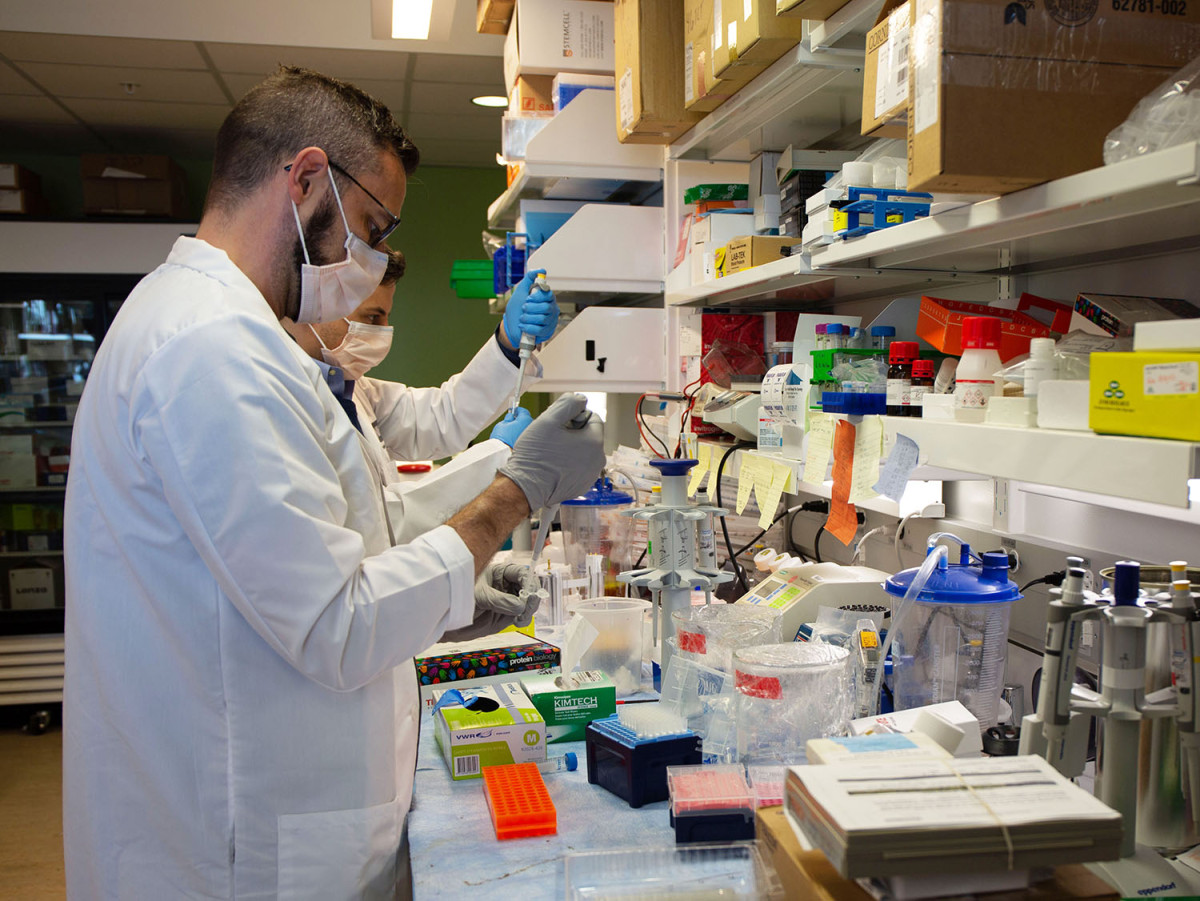 Graduate student Jorge Romo Tena (background) and postdoctoral fellow Gustaf Wigerblad (foreground) prepare samples in the lab for analysis.
