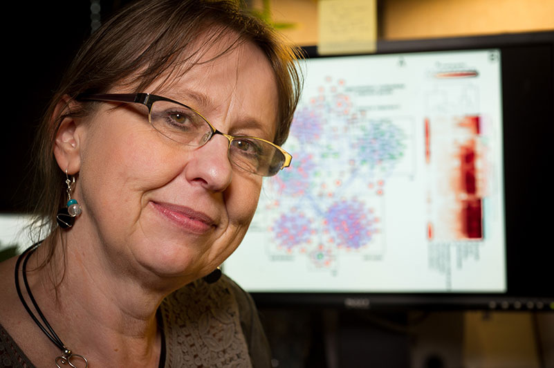Senior Investigator Teresa Przytycka, Ph.D.