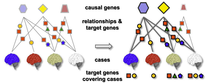 Dr. Przytycka’s team developed a novel computational method to identify causal genes and associated dysregulated pathways