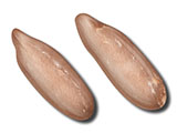 embedding_rat_brain_l1_olfactory_bulbs.jpg