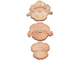 embedding_rat_brain_l5l7.jpg