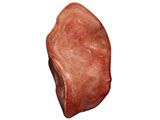 embedding_rat_lung_left_lobe.jpg