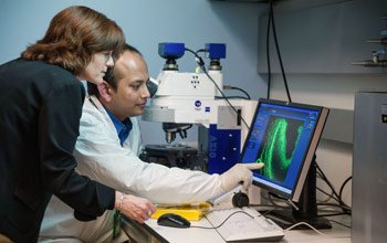 Dr. Cunningham (left) and visiting fellow Soumen Roy, Dr. rer. nat., examine hair cells of a mouse cochlea.