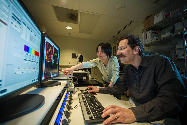 Staff scientist Lyly Koo, Ph.D., and Dr. Schwartz analyze images from the STED microscope