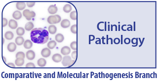 cmpb_clinical_pathology.jpg