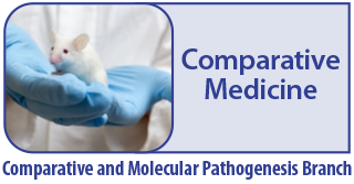 cmpb_lab_animal_medicine.jpg