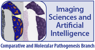 cmpb-imaging-sciences