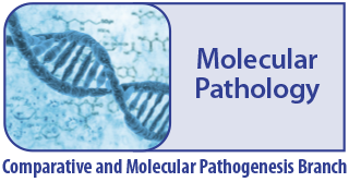 cmpb_molecular_pathology.jpg