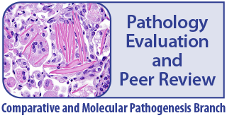 cmpb-pathology-evaluation