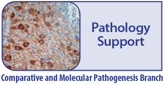cmpb_pathology_support.jpg