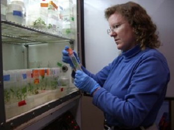 srp_phi_21_uw_doty_lab.jpg