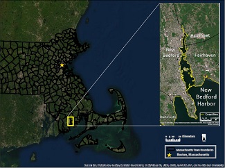 srp_phi_killifish_new_bedford_harbor.jpg