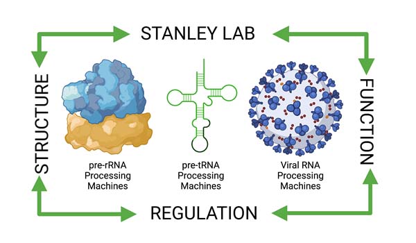 stanlylabflowchart.jpg