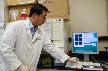 Dr. Sun uses flow cytometry to analyze mouse cells and address the physiological function of specific lysosomal proteins in vivo