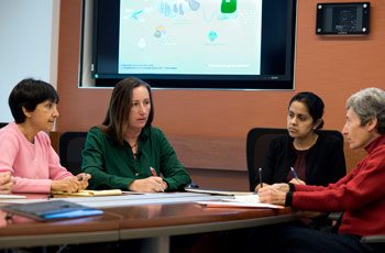 Team meetings fuel a variety of research projects with new ideas.