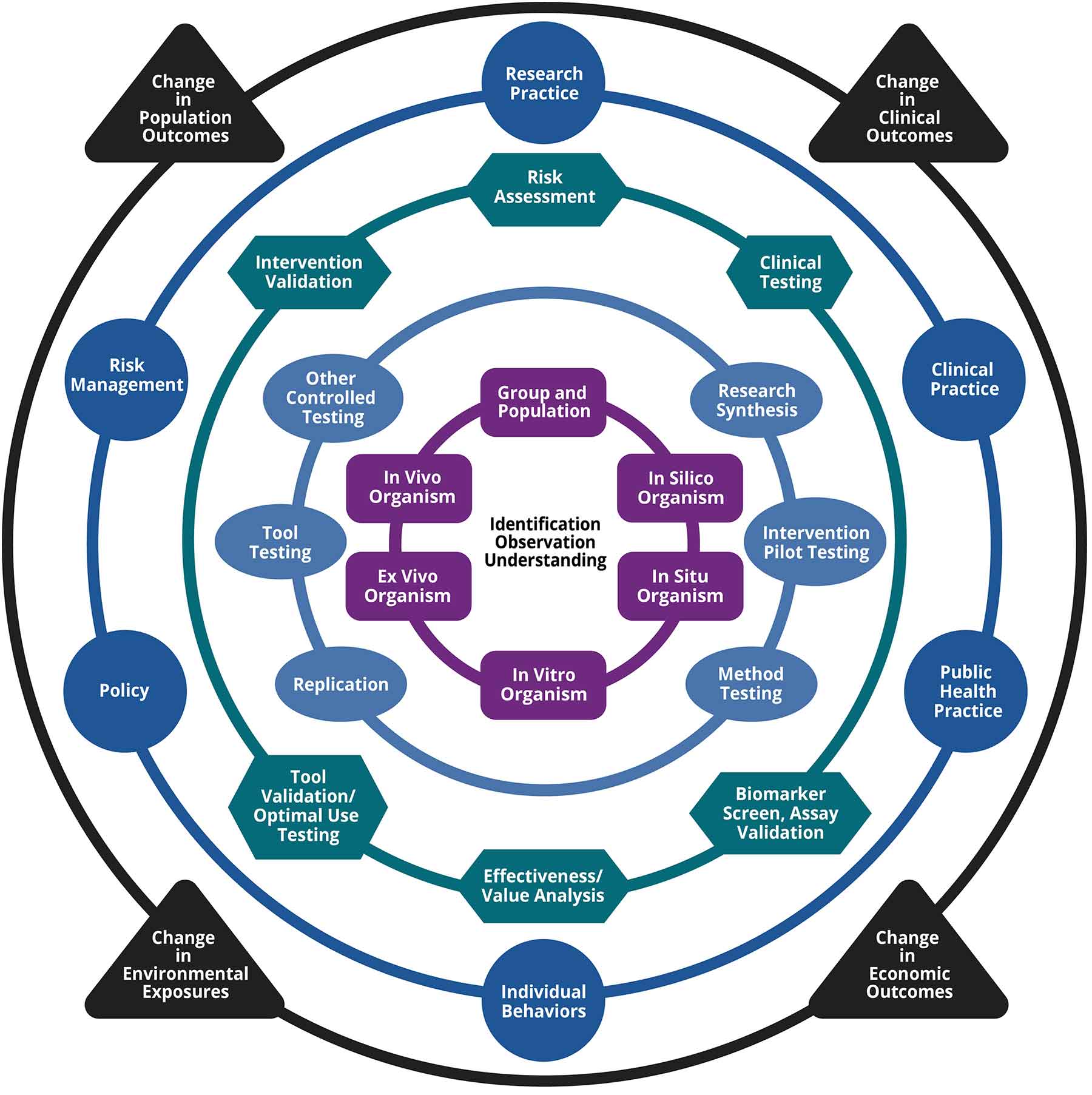translational_research_framework_image.jpg