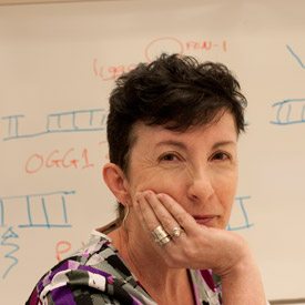 Karen Usdin, Ph.D., leads research into the causes of a subset of the Repeat Expansion Disorders