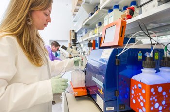 Research fellow Elizabeth Wohlfert (front) loads a cell sorter with samples, while Ph.D. student Michael Askenase observes cells under a microscope