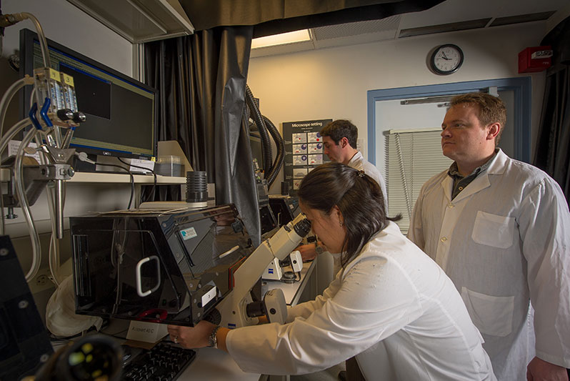 Graduate students Jill Harunaga and Matthew Kutys (at the bench) conduct research with postdoctoral fellow Ryan Petrie supervising in the microscopy facility